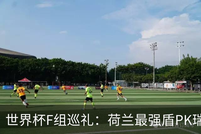 世界杯F组巡礼：荷兰最强盾PK瑞典犀利刀 日本短板明显